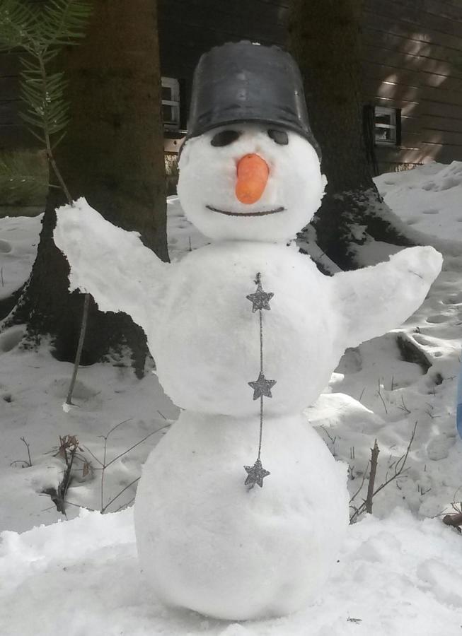 Dame Vam Pokoj - 4 Pokoje Se Sdilenou Kuchyni, Kapacita Max 9 Osob Harrachov Dış mekan fotoğraf