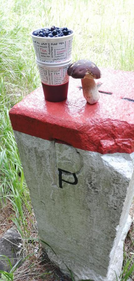 Dame Vam Pokoj - 4 Pokoje Se Sdilenou Kuchyni, Kapacita Max 9 Osob Harrachov Dış mekan fotoğraf