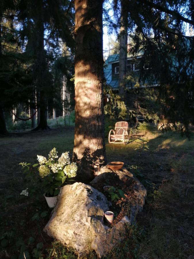 Dame Vam Pokoj - 4 Pokoje Se Sdilenou Kuchyni, Kapacita Max 9 Osob Harrachov Dış mekan fotoğraf