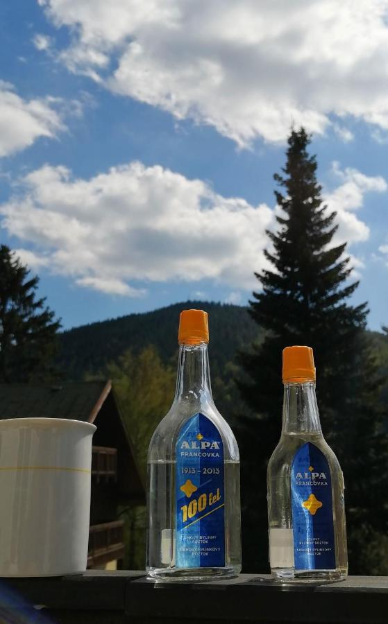 Dame Vam Pokoj - 4 Pokoje Se Sdilenou Kuchyni, Kapacita Max 9 Osob Harrachov Dış mekan fotoğraf