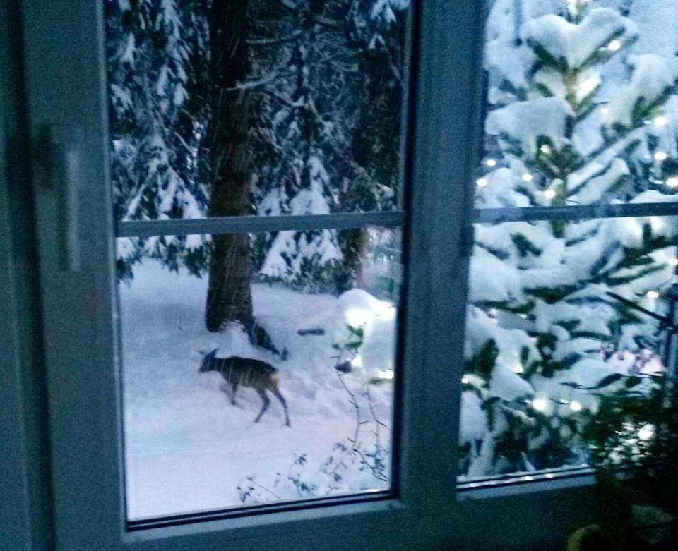 Dame Vam Pokoj - 4 Pokoje Se Sdilenou Kuchyni, Kapacita Max 9 Osob Harrachov Dış mekan fotoğraf